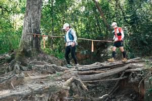 BIB: 
                            <button type="button" onclick="openModal(27745856)" class="btn btn-primary btn-sm float-right btn-popup" data-toggle="modal" data-target=".modal-high-quality">
                        <i class="fas fa-shopping-cart"></i> Add to Cart
                    </button>
                                            <button type="button" onclick="isThisMe(27745856, true)" class="btn btn-success btn-sm float-right btn-popup btn-isme hidden" data-toggle="tooltip" data-placement="bottom" title="นี่คือรูปของคุณใช่ไหม คลิกที่นี่เพื่อเอาเข้าอัลบั้ม">
                        <i class="fas fa-plus"></i> Add to album
                    </button>
                    <button type="button" onclick="isThisMe(27745856, false)" class="btn btn-warning btn-sm float-right btn-popup btn-isnotme hidden">
                        <i class="fas fa-ban"></i> Remove from album
                    </button>